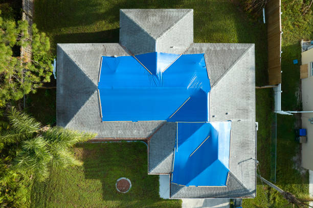Best 4 Ply Roofing  in Forest Hills, TN
