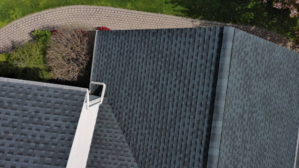 Best Steel Roofing  in Forest Hills, TN
