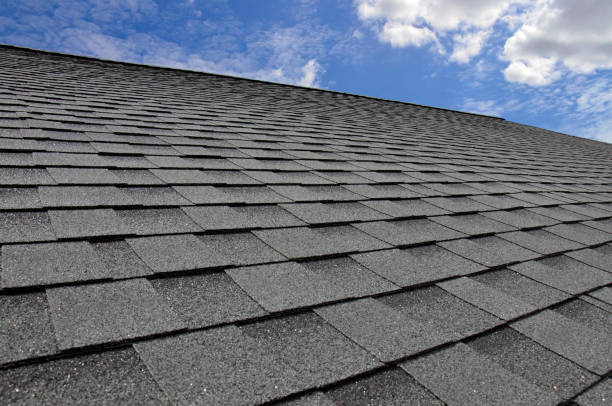 Best Sheet Metal Roofing  in Forest Hills, TN