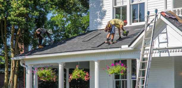 Best Roof Moss and Algae Removal  in Forest Hills, TN